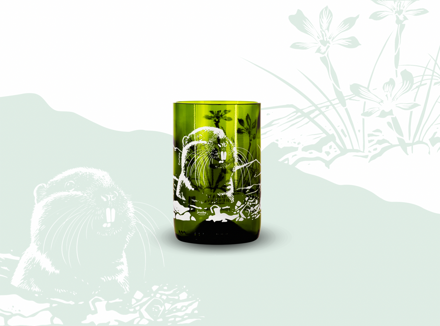 Biodiversidad O&