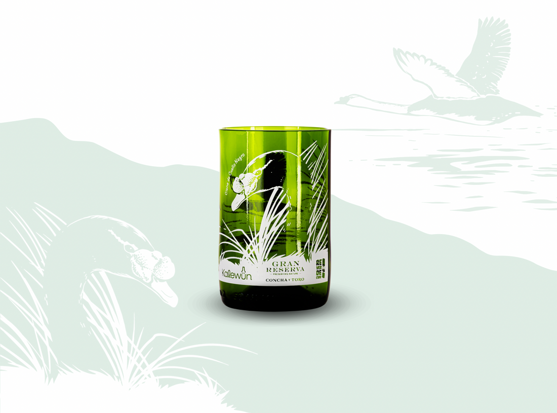 Biodiversidad O&