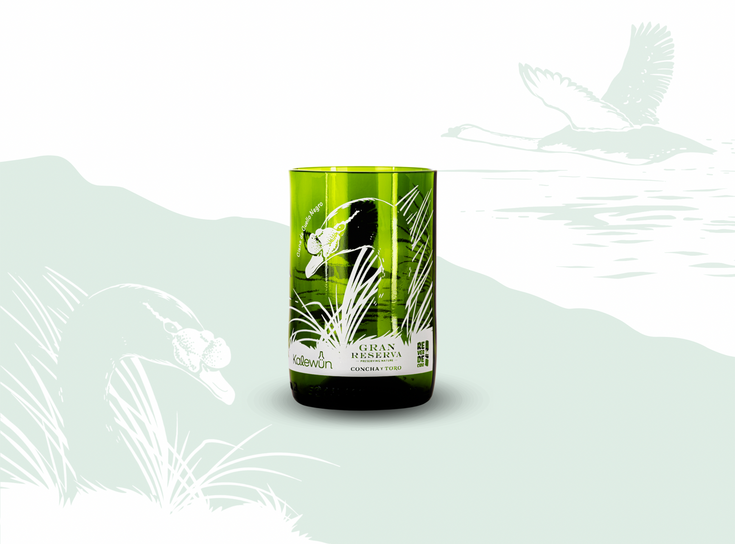 Biodiversidad O&